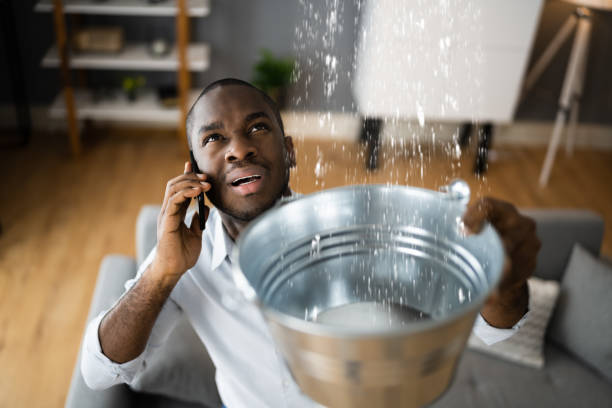 Best Water damage restoration near me  in National Harbor, MD