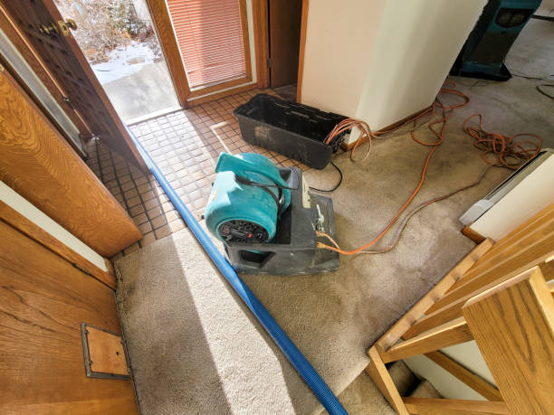 Best Flood damage cleanup  in National Harbor, MD