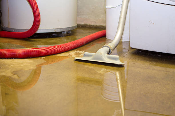Best Ceiling water damage repair  in National Harbor, MD