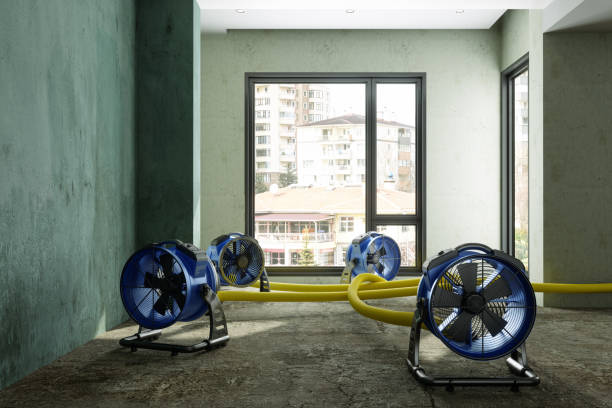 Best Water damage restoration near me  in National Harbor, MD